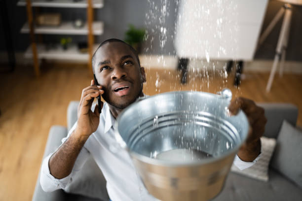 Best Ceiling water damage repair  in Montezuma, IA