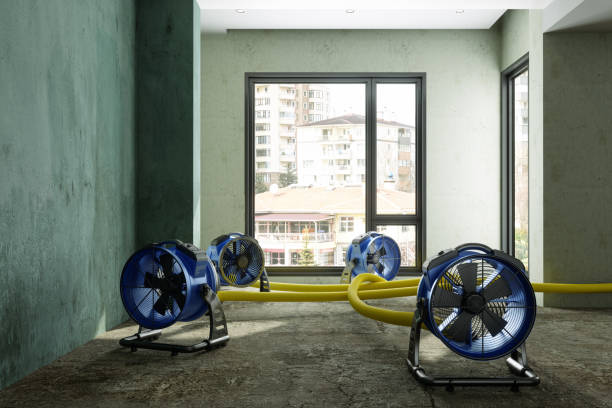 Best Ceiling water damage repair  in Montezuma, IA