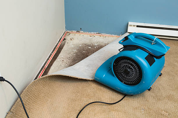 Best Emergency water damage restoration  in Montezuma, IA